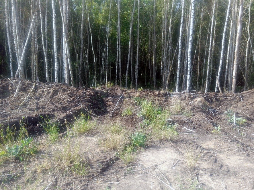Дзержинск загрязнен.jpg Дзержинск загрязнен.jpg
